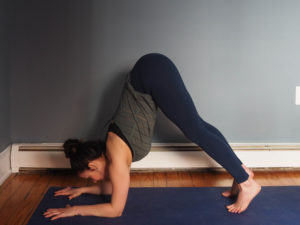 Dolphin pose. 7 Tips for a Happier Pincha Mayurasana. A step-by-step approach to make forearm stand stronger and more accessible. Shoulder opener.