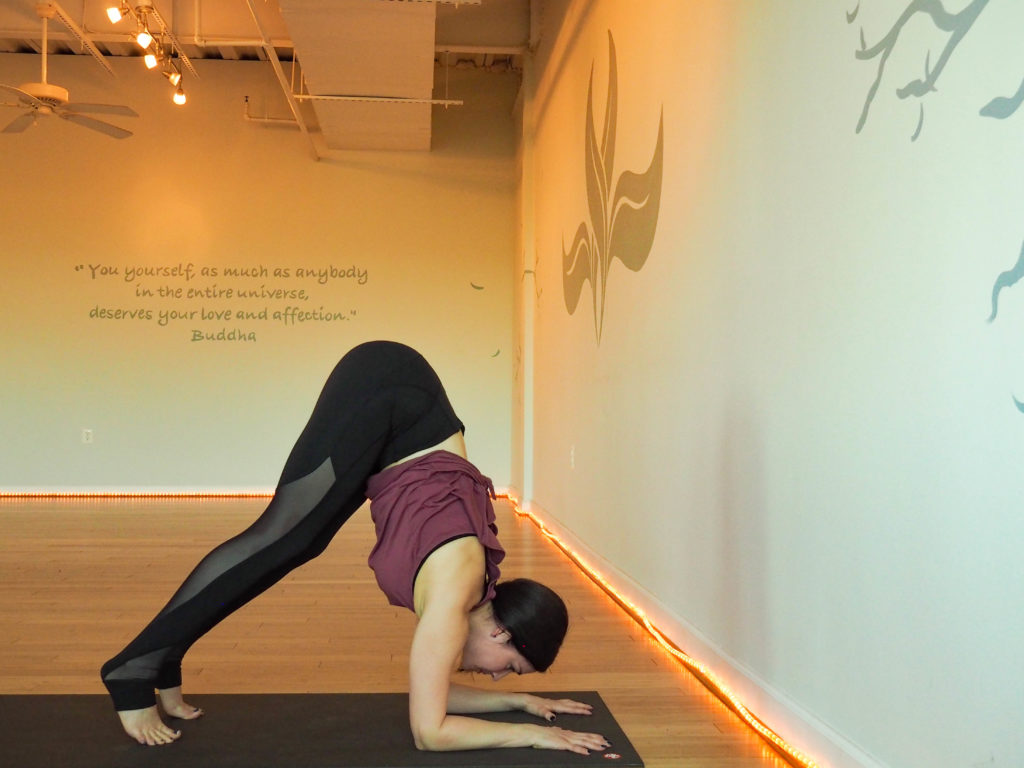 dolphin pose as yoga strengthening drill and prep for pincha; rebuild strength postpartum.